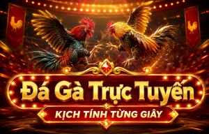 Giao diện sảnh đá gà jailhillary2016.com